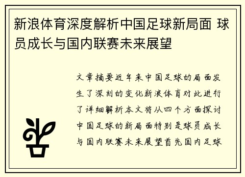 新浪体育深度解析中国足球新局面 球员成长与国内联赛未来展望